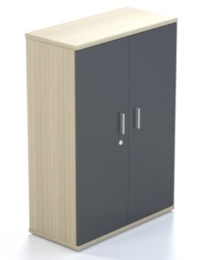 HINGE DOOR CABINET